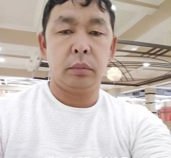  50356767  , 43 ,    