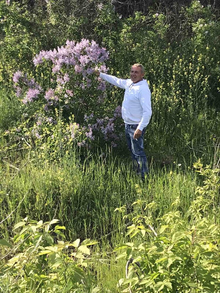 ���� 25644737 ������� ����, 52 ����, ���� ���������� � ������