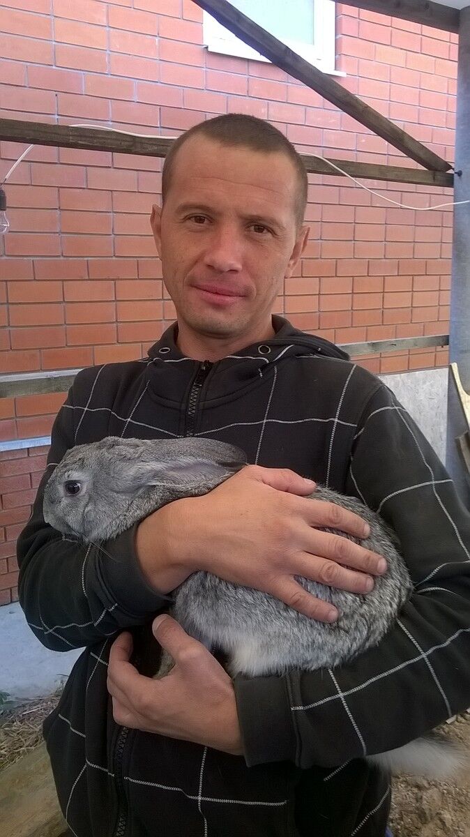 ���������� ��������-��-������, ���� ������� ����, 43 ����, ������������ ��� ������, ����� � ���������, c�������� ���������