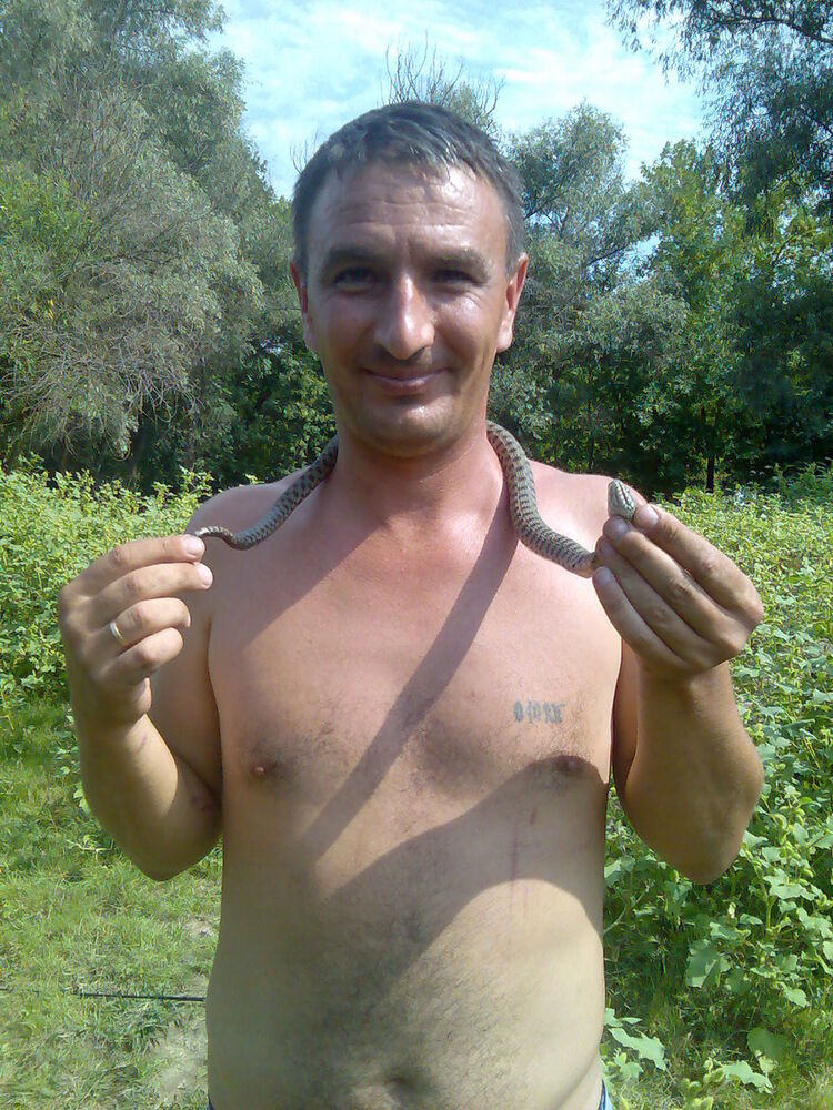 ���� 4968227 ������� �������, 52 ����, ���� ���������� � �����������