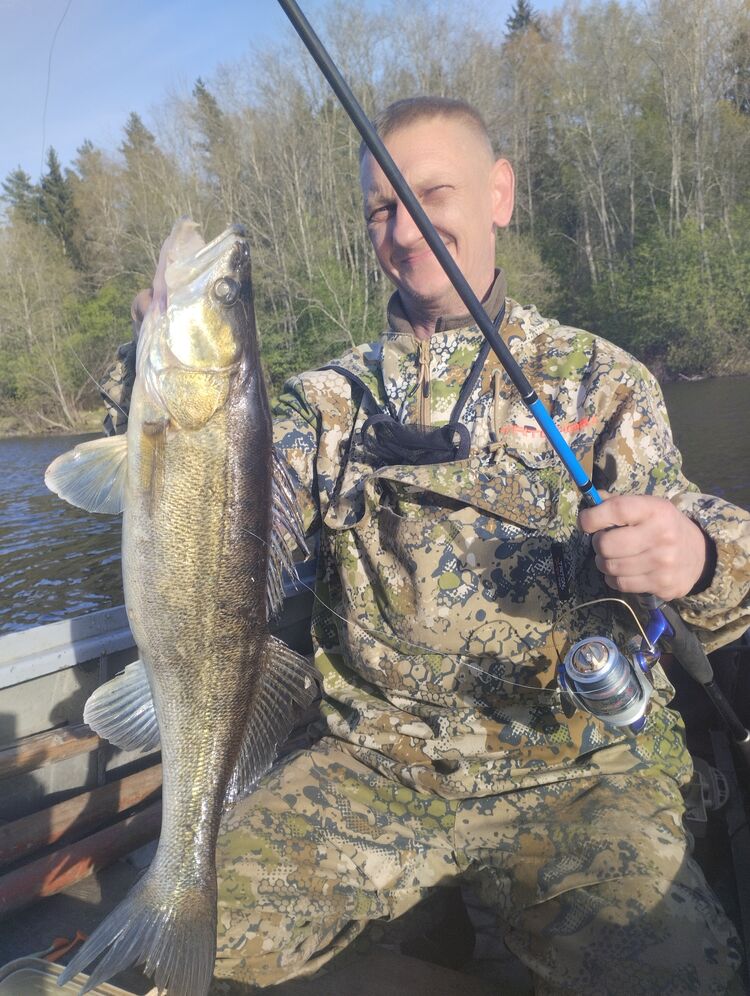 ���� 46027417 ������� �������, 45 ���, ���� ���������� � �����-����������