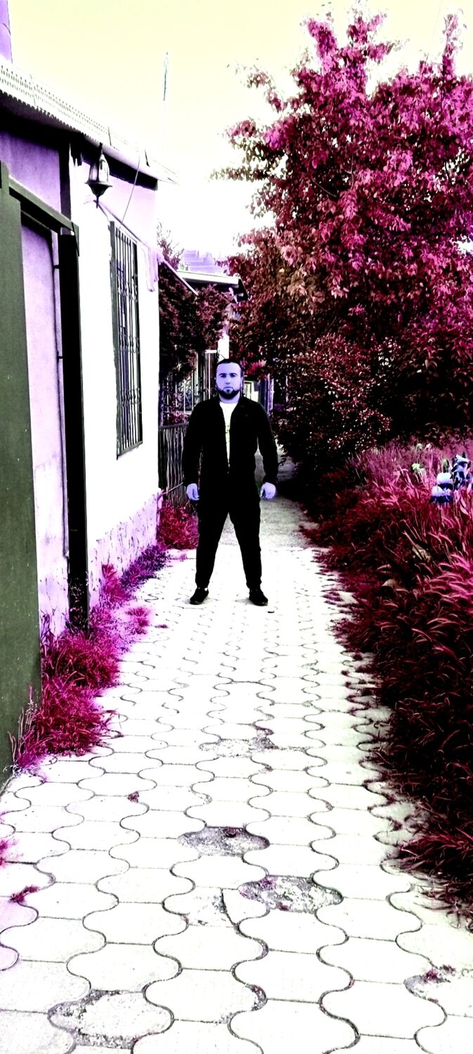  34913867  , 29 ,    