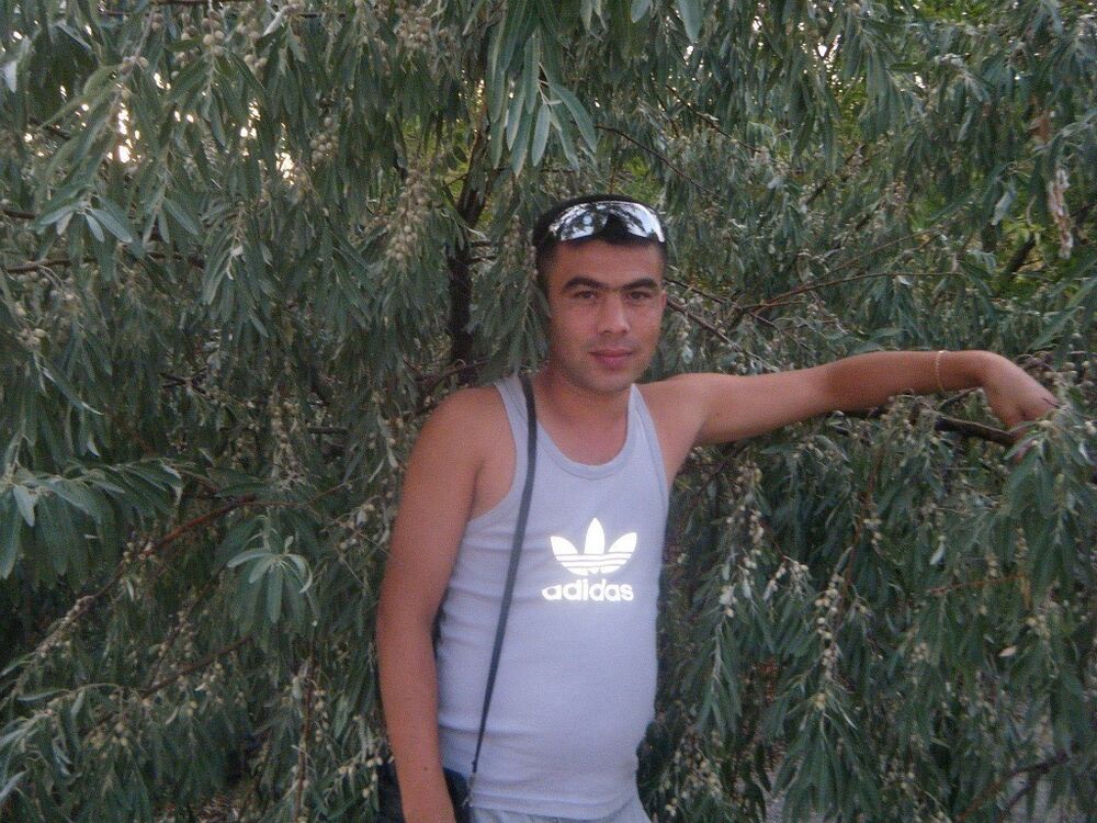  10064807  , 41 ,    