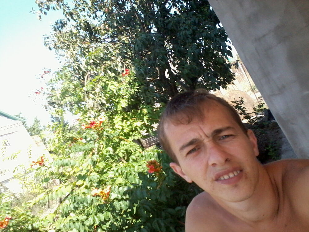  8647497  , 36 ,    