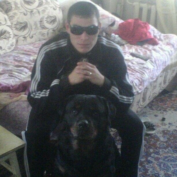 ���� 7356587 ������� ������, 38 ���, ���� ���������� � ��������