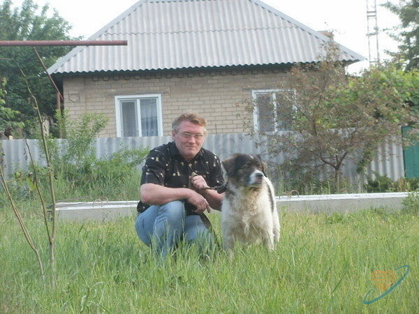 ���� 8071617 ������� �������, 58 ���, ���� ���������� � ��������