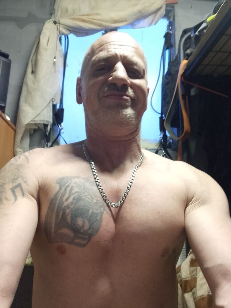  41704757  , 53 ,    -