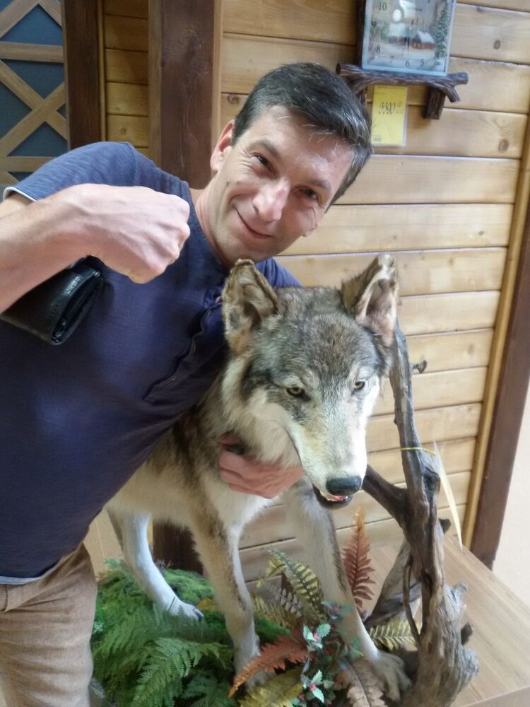 ���� 10678577 ������� ���������, 48 ���, ���� ���������� � ������