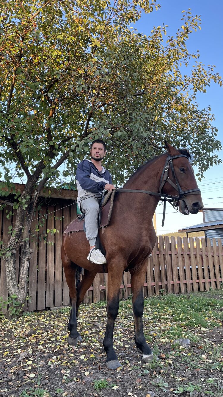 ���������� ������, ���� ������� ���������, 33 ����, ������������ ��� ������, ����� � ���������