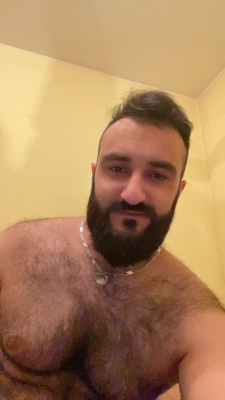  44522887  , 32 ,    