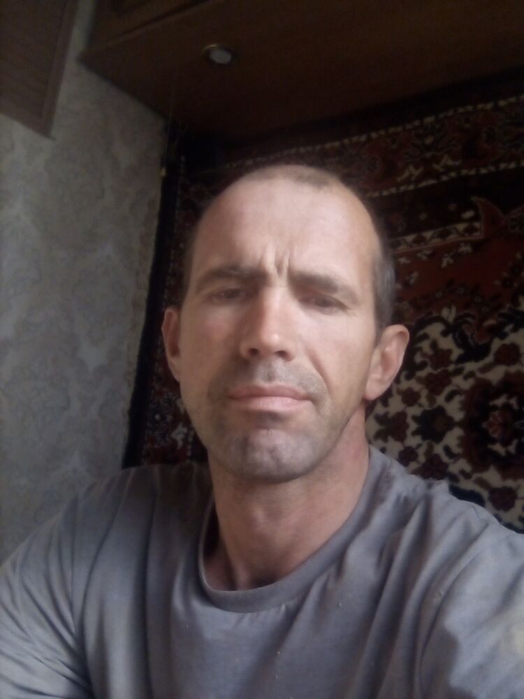  34458167  , 46 ,    