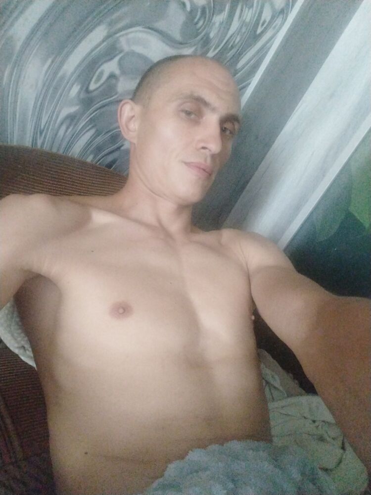  53397117  , 36 ,    