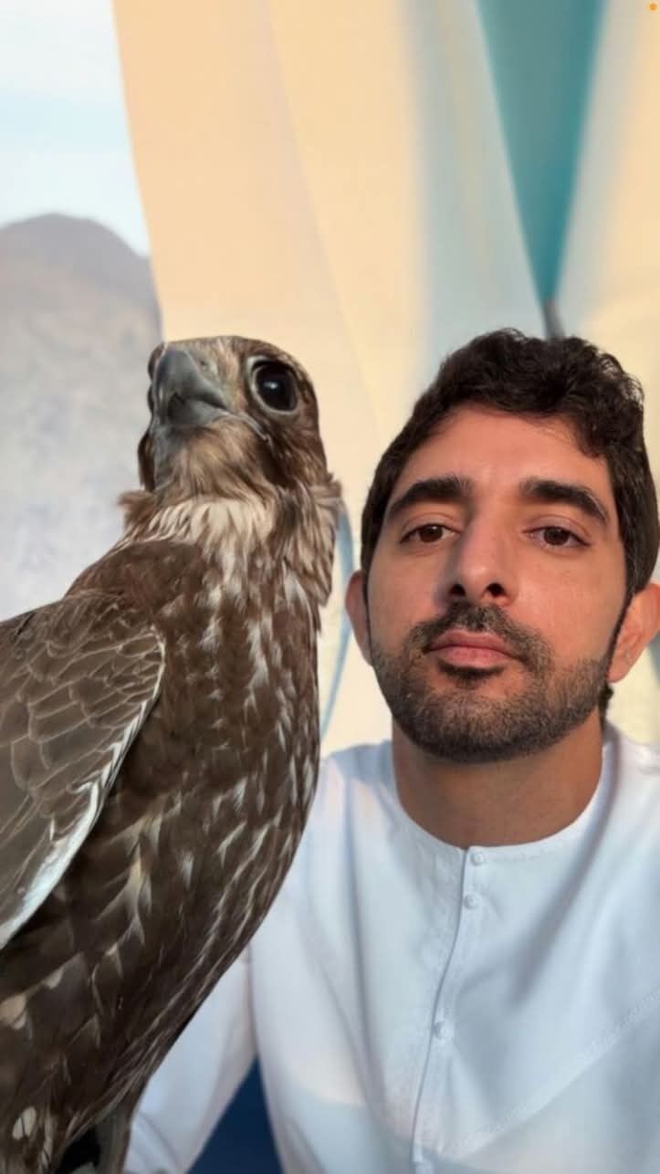  ,   Fazza, 42 ,   ,   