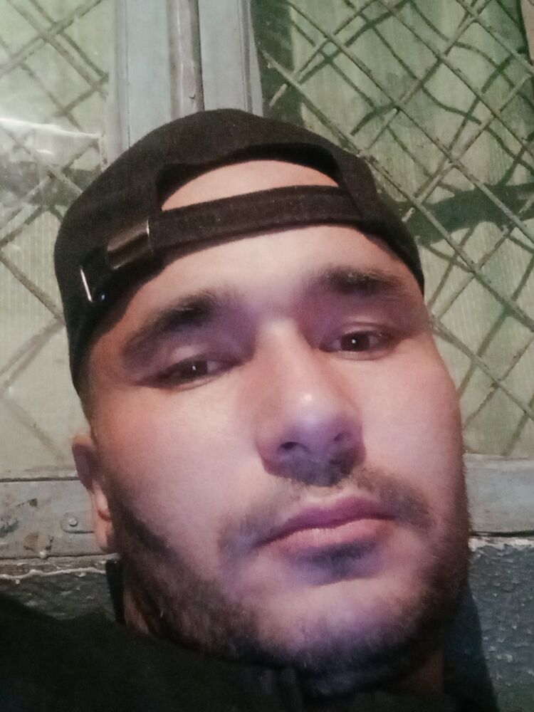  43206047  , 37 ,    