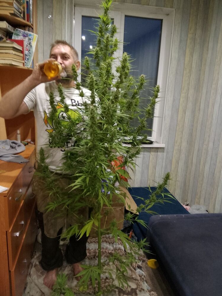 ���� 56130187 ������� �������, 46 ���, ���� ���������� � �������