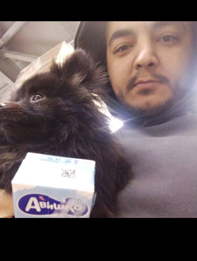 ���� 56182387 ������� ����, 31 ���, ���� ���������� � ���������