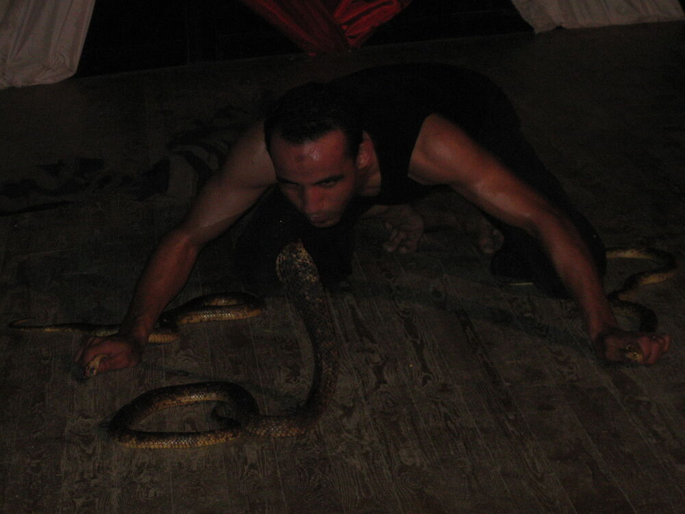  4967907  89084206077, 51 ,    