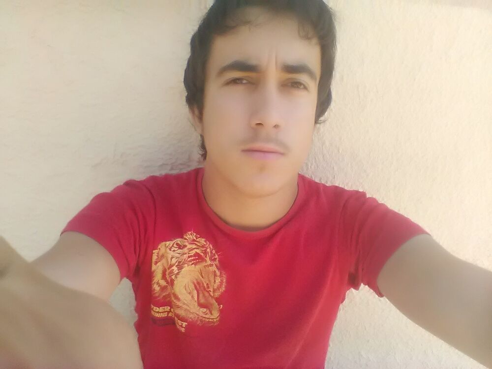  13576667  , 26 ,    