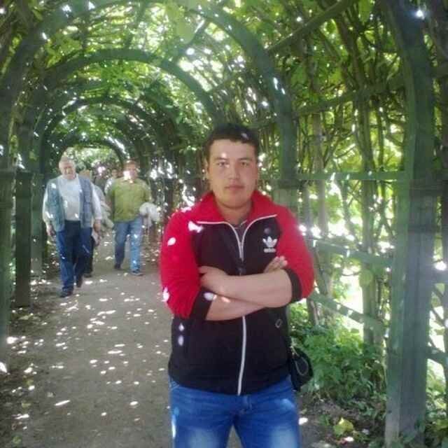 ���� 46629977 ������� ������ ����, 36 ���, ���� ���������� � �����-����������