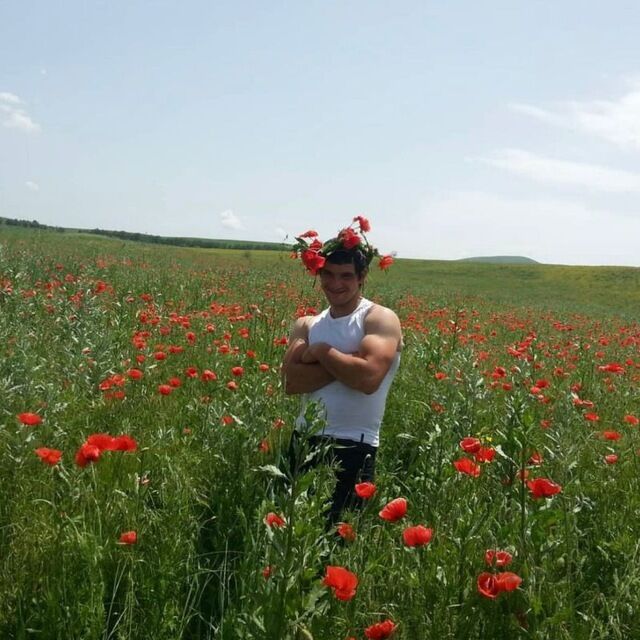  40334197  , 39 ,    -