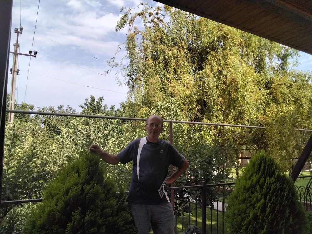 ���������� ����������, ���� ������� ������, 50 ���, ������������ ��� ������, ����� � ���������