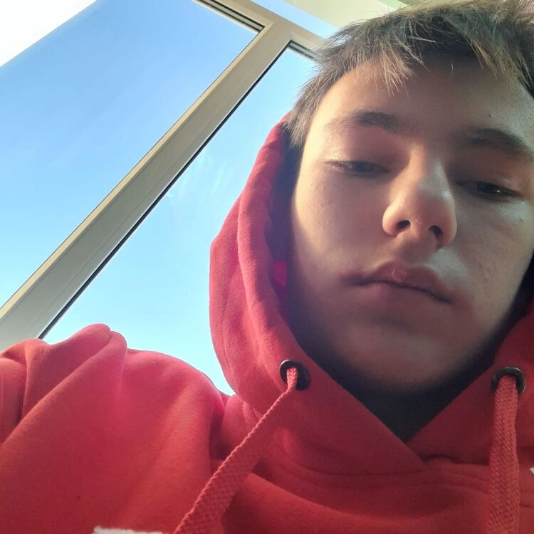  42779817  , 23 ,    