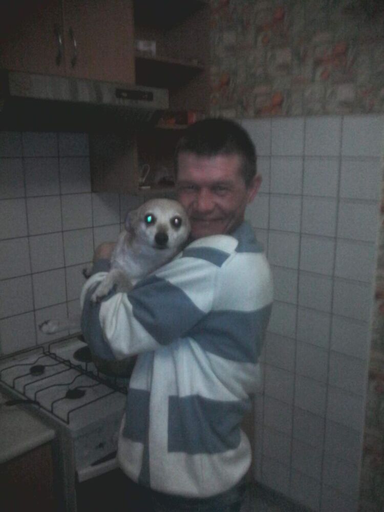 ���� 21386707 ������� ������, 45 ���, ���� ���������� � ����������