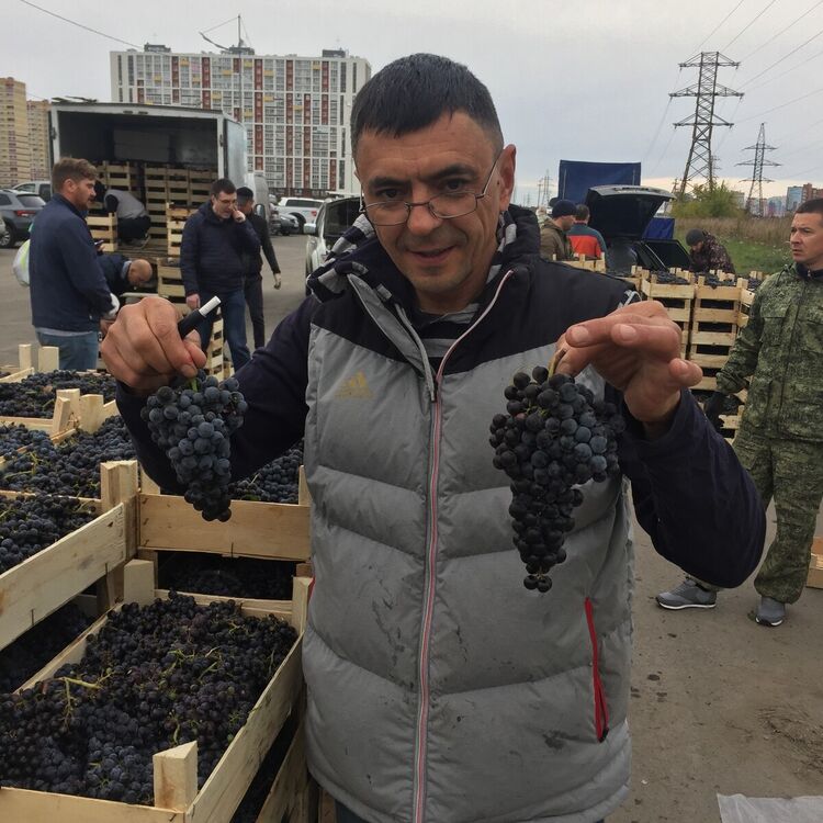 ���� 21655237 ������� ���������, 50 ���, ���� ���������� � ������