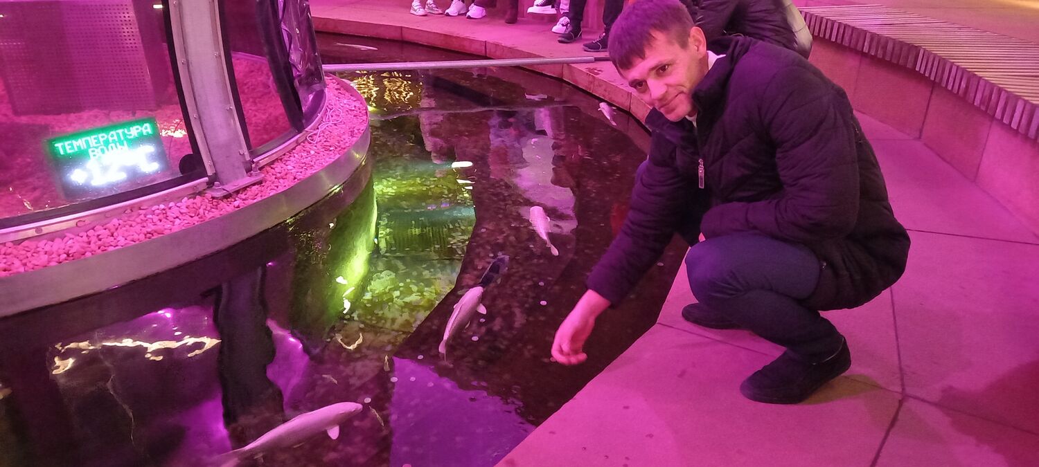 ���� 28211577 ������� ���, 34 ����, ���� ���������� � ����������