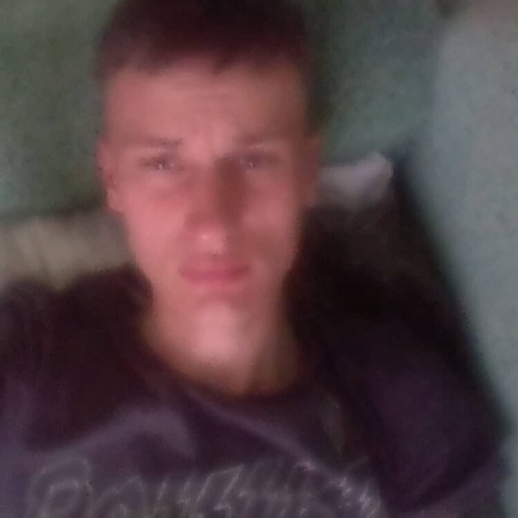  12294697  , 29 ,    