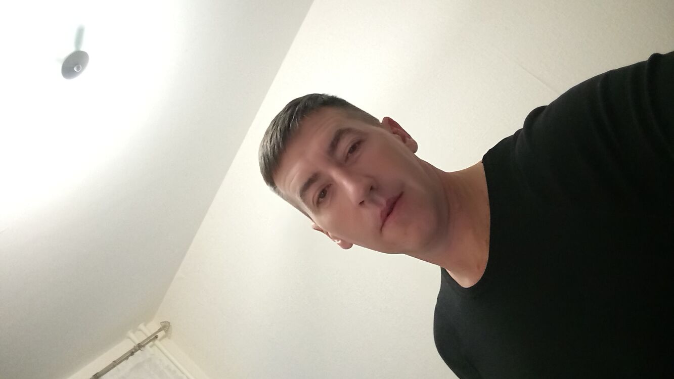  40337177  , 44 ,    -