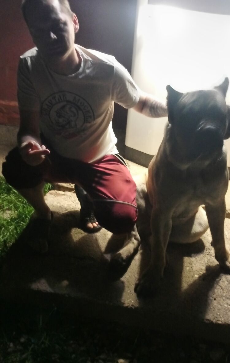  51047397  , 36 ,    