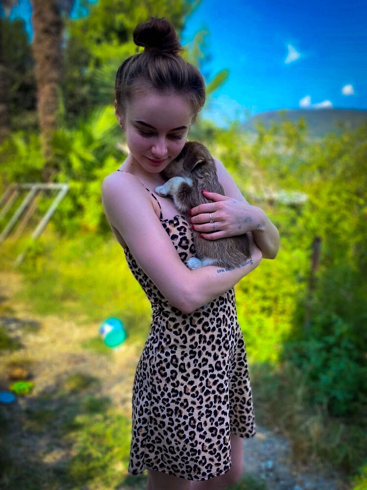 ���������� ����, ���� ������� ������, 23 ����, ������������ ��� ������, ����� � ���������