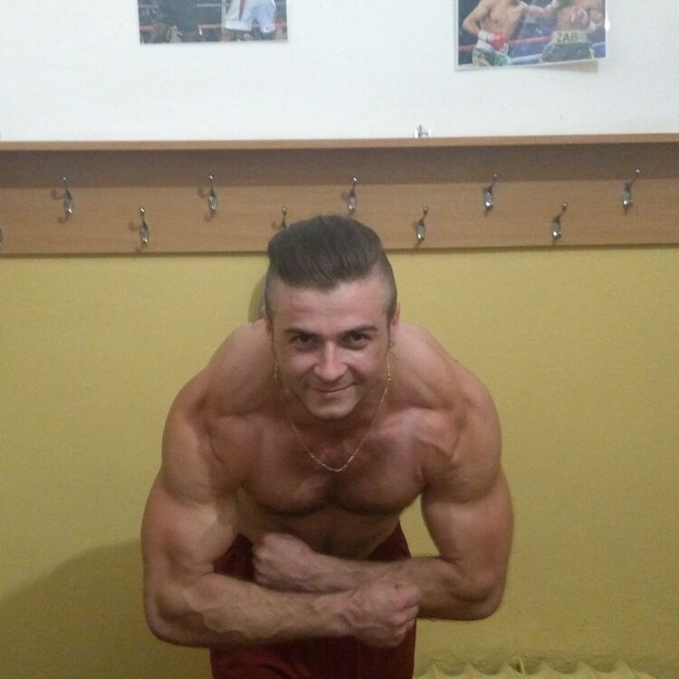  16025397  , 31 ,    
