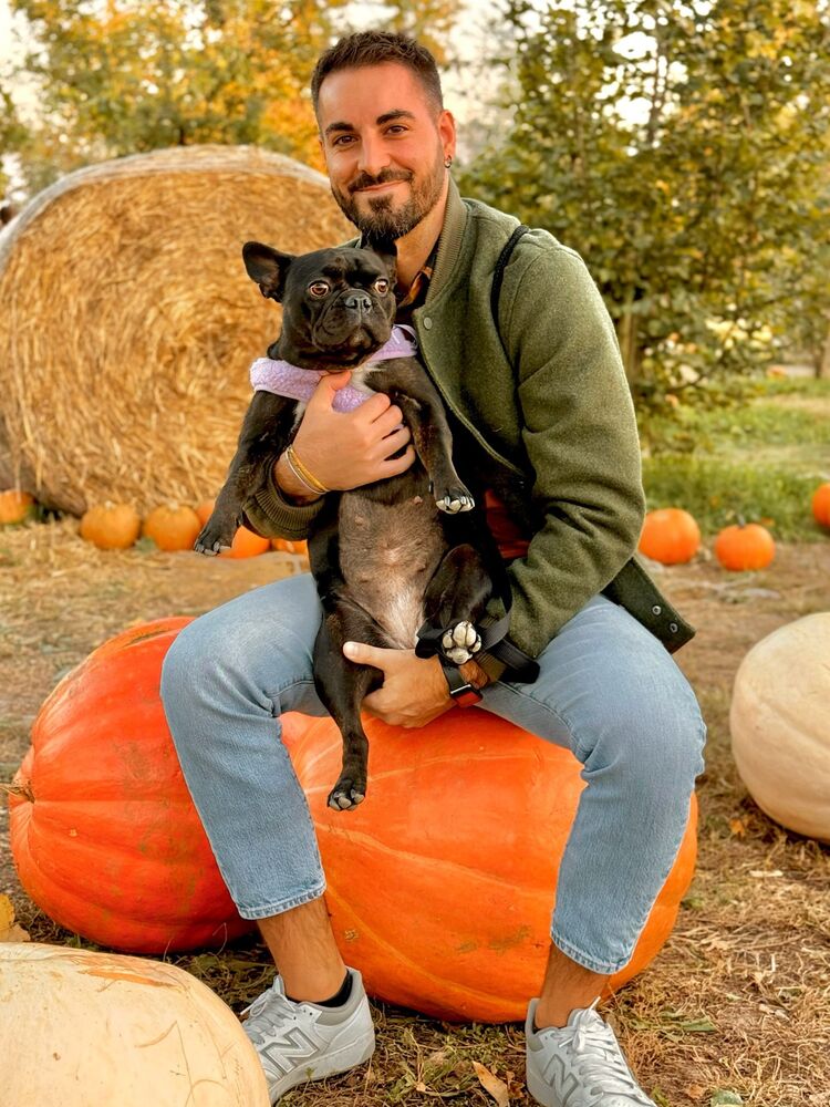 ���� 55695667 ������� Dima, 32 ����, ���� ���������� � ������