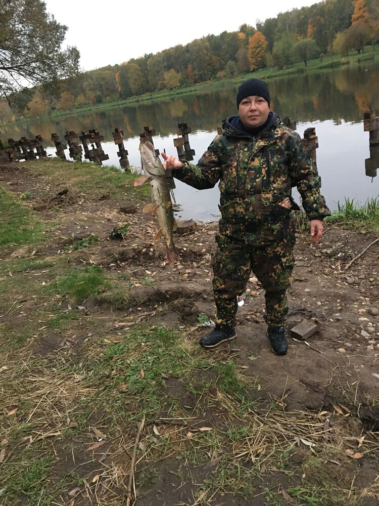 ���������� ������, ���� ������� �������, 38 ���, ������������ ��� ������, ����� � ���������, ���������