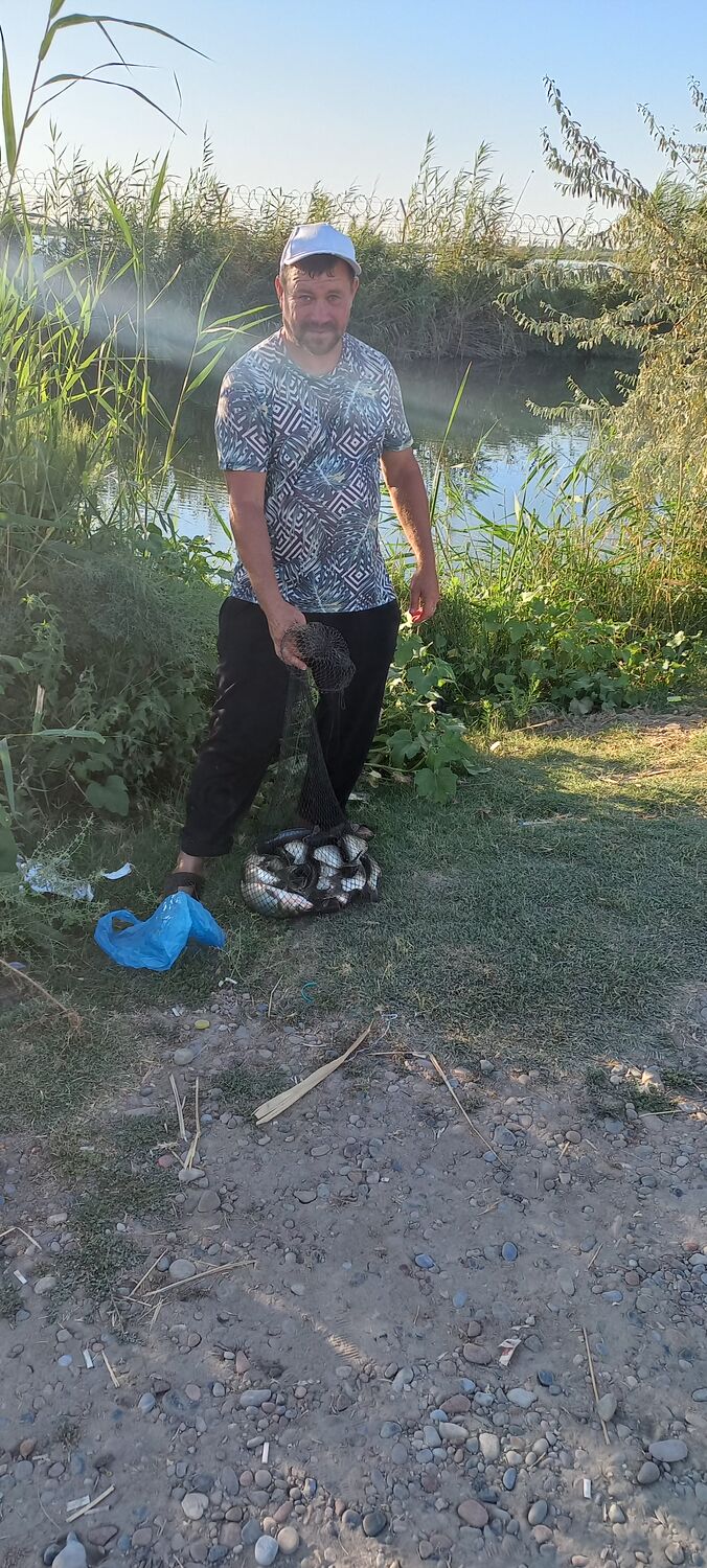 ���������� �������, ���� ������� ������, 48 ���, ������������ ��� ������, ����� � ���������