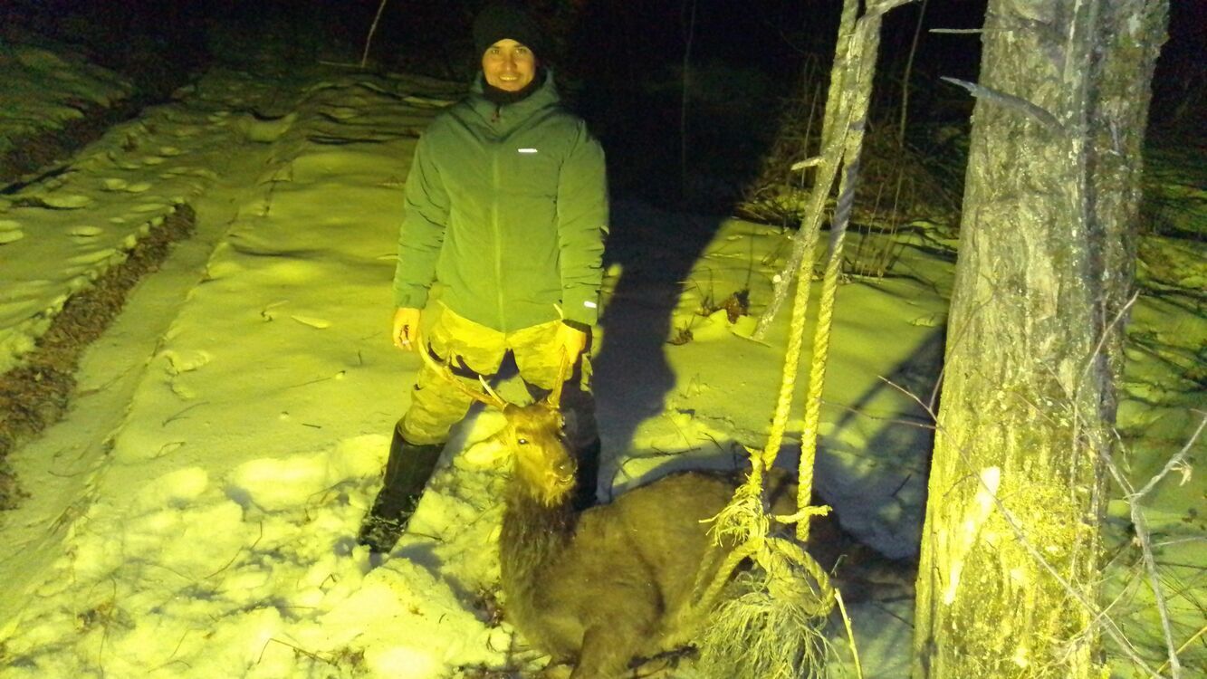 ���� 35887847 ������� ���������, 35 ���, ���� ���������� � �������