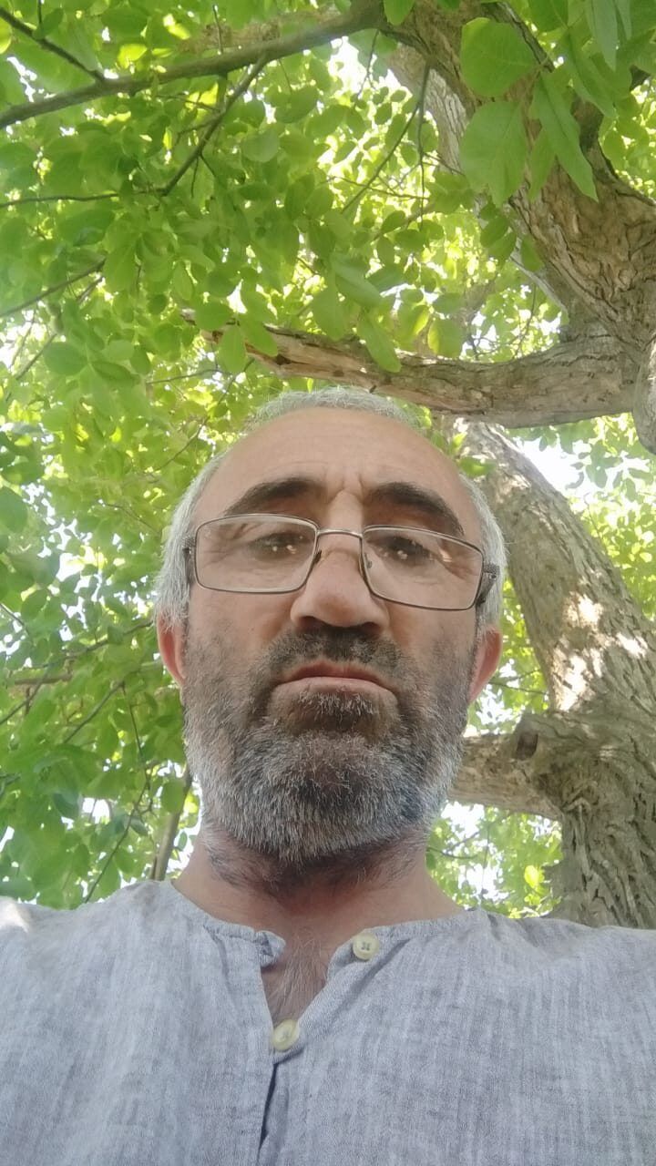  36034667  , 54 ,    