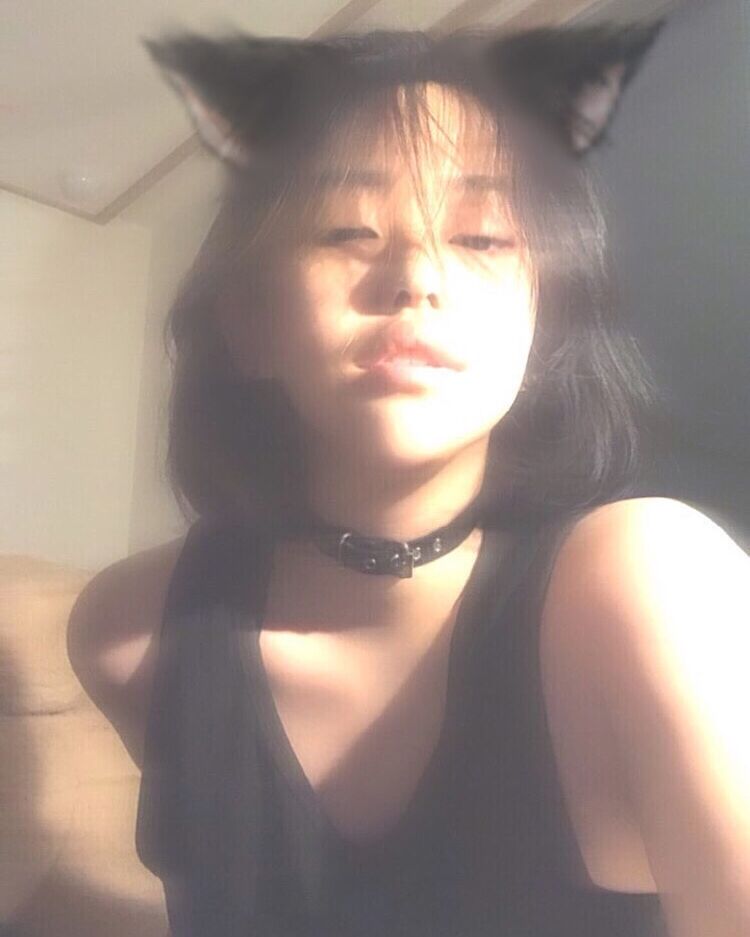  ,   , 22 ,   ,   , 
