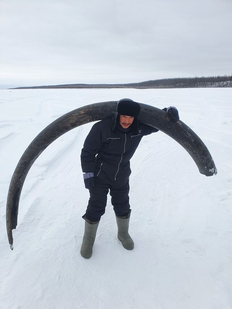 ���������� ������, ���� ������� �������, 34 ����, ������������ ��� ����� � ���������