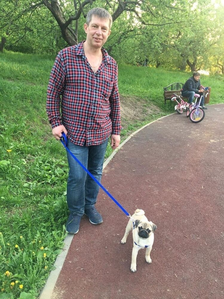 ���� 16345347 ������� �������, 37 ���, ���� ���������� � ��������