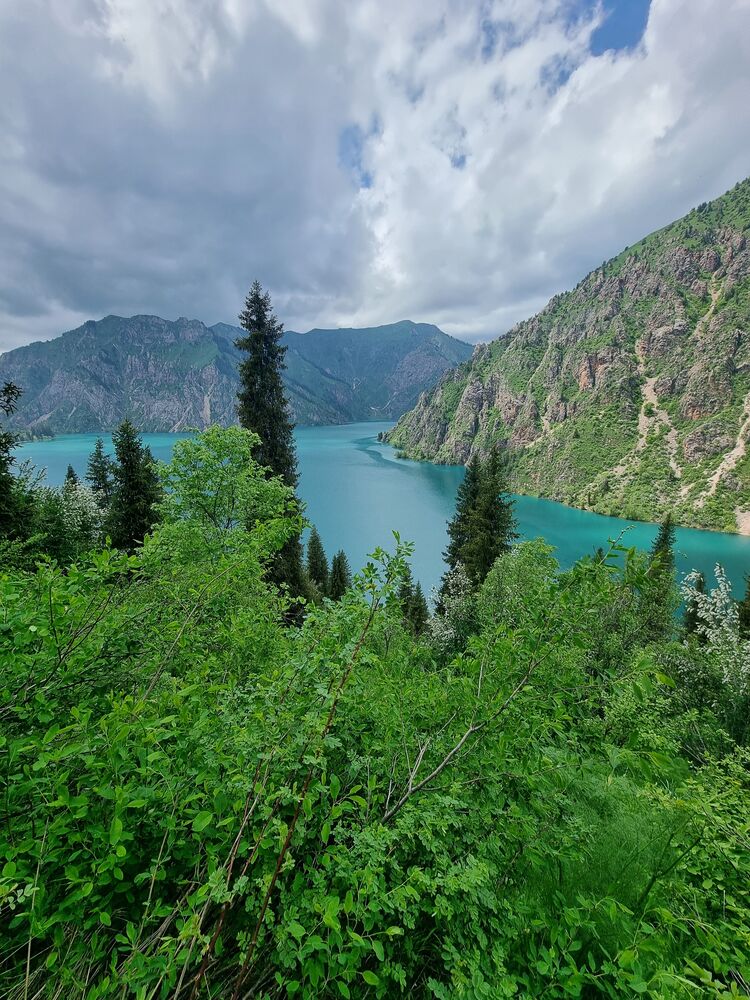 ���� 44484947 ������� �����, 30 ���, ���� ���������� � �������