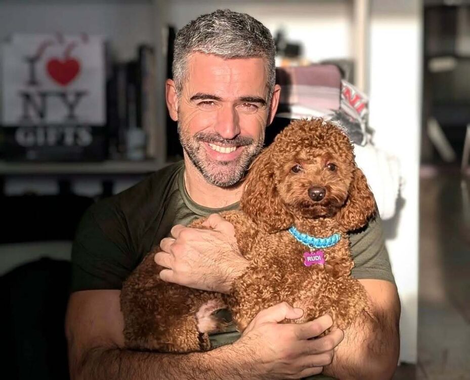 ���� 53222017 ������� �������, 48 ���, ���� ���������� � ����������