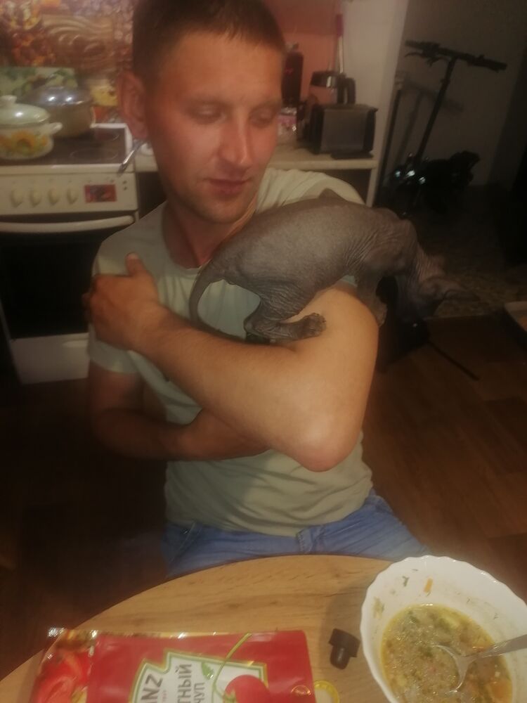 ���������� ���������, ���� ������� ����, 35 ���, ������������ ��� c�������� ���������