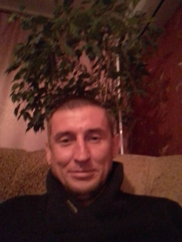  40534817  , 43 ,    