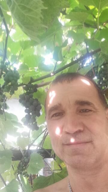  ,   , 52 ,   ,   