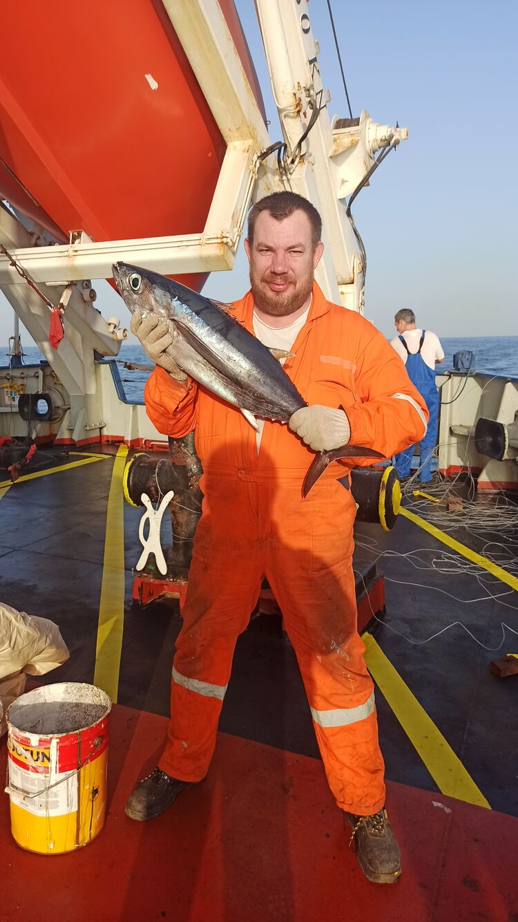 ���������� ������, ���� ������� ������, 46 ���, ������������ ��� ������, ����� � ���������