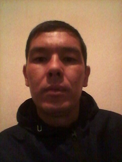 15954037  , 40 ,    