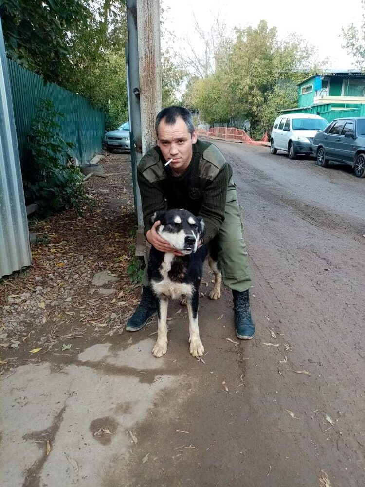 ���� 55855967 ������� �������, 45 ���, ���� ���������� � ��������